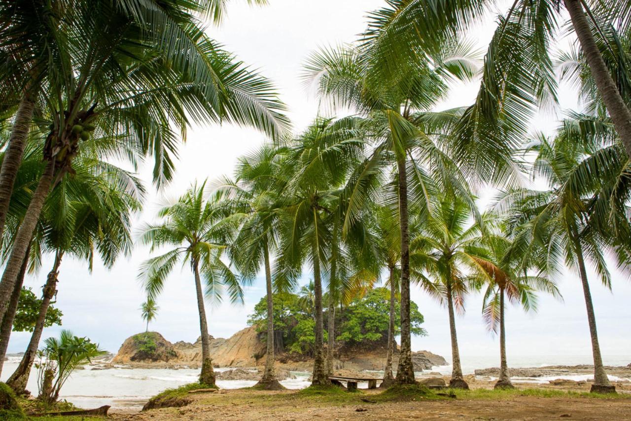 Pacific Edge Eco Lodge Доминикал Екстериор снимка