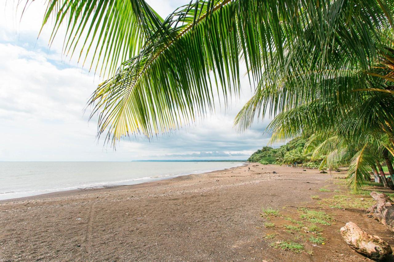 Pacific Edge Eco Lodge Доминикал Екстериор снимка