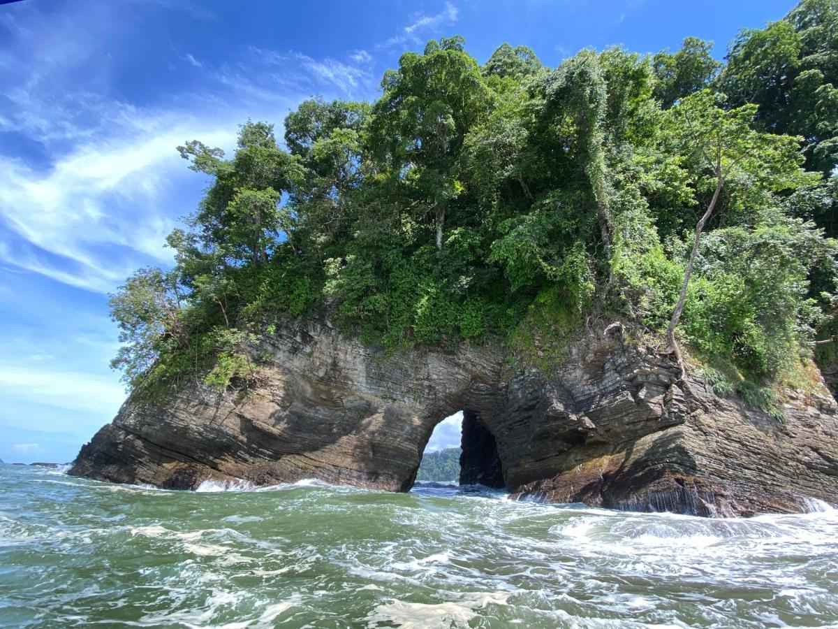 Pacific Edge Eco Lodge Доминикал Екстериор снимка